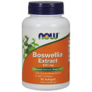 Boswellia Extract, 500mg - 90 softgels
