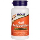 Acidophilus 4X6