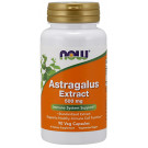 Astragalus Extract, 500mg - 90 vcaps
