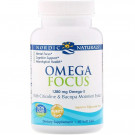 Omega Focus with Citicoline & Bacopa Monnieri Extract, 1280mg - 60 softgels