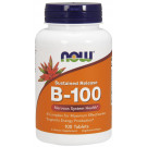 Vitamin B-100 Sustained Release - 100 tabs